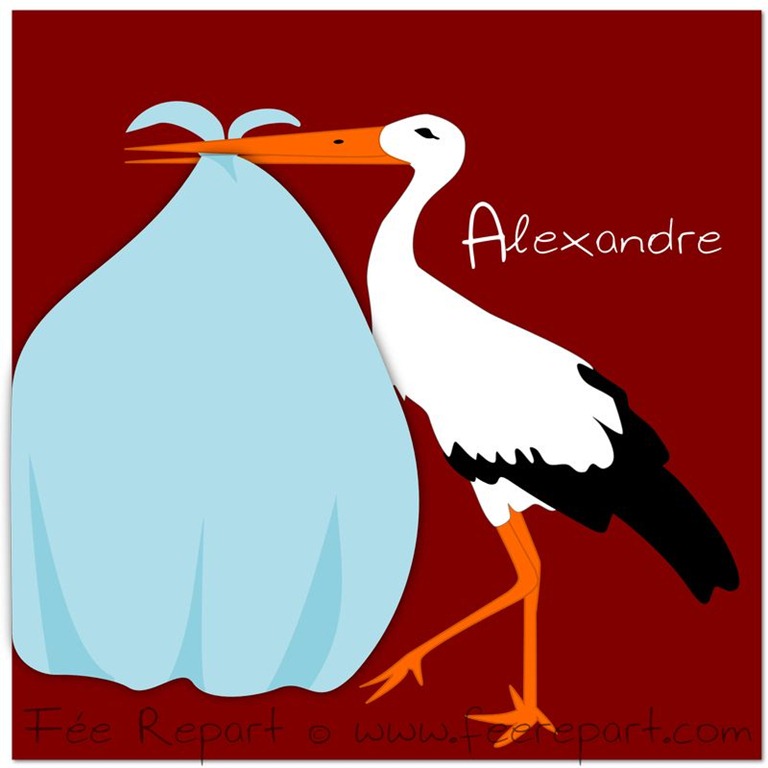 [apercu-faire-part-cigogne-garcon%255B3%255D.jpg]