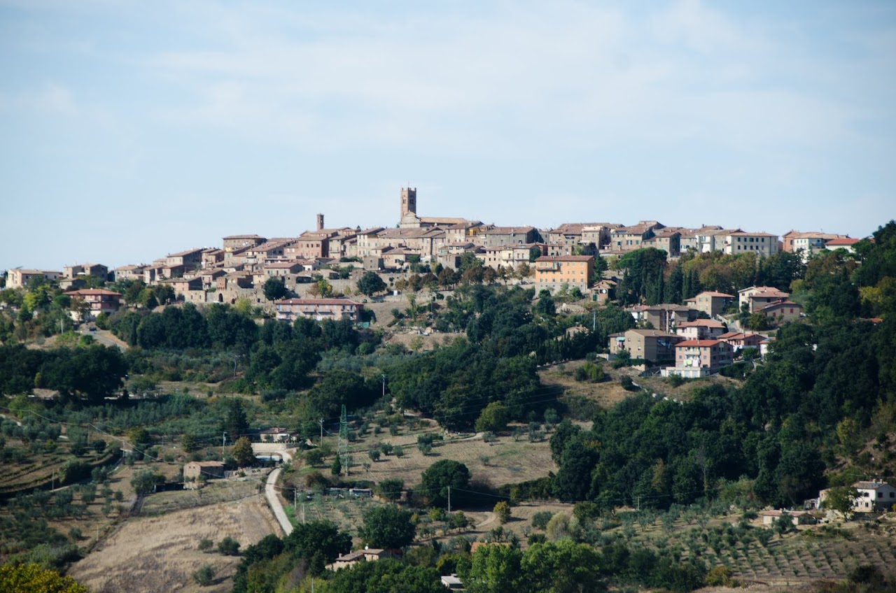 Radicondoli