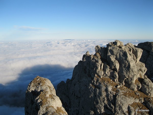 169.JPG