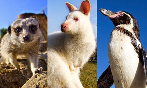 [viow%2520swe%255B4%255D.jpg]