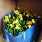 2012-03-17 - Spotkanie sobotnie - Zielona Warszawa
