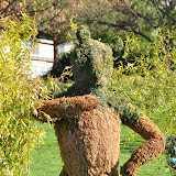 DSC_8207.JPG