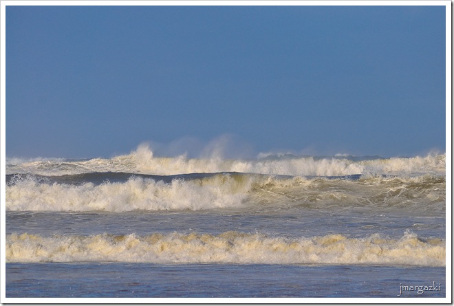 DSC_3700 DSC_3700