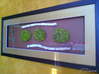 [foto0024%255B3%255D.jpg]