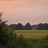 Wiste