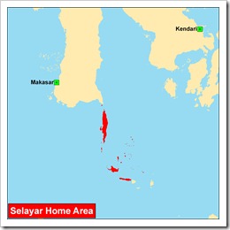 Rumpun Sulawesi Selatan - Selayar
