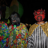  Carnaval_Cantanhede_Bloco_Cana_Limao_2012