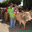 DesfiledeCarrosdeBois2011-035.jpg