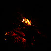 IMG_7767.JPG