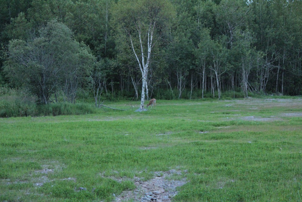 [IMG_0980%255B3%255D.jpg]