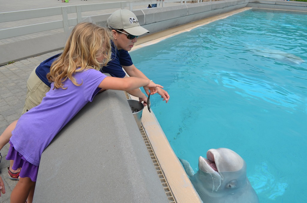 [DSC_1713%255B3%255D.jpg]