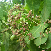 DSCN1362.JPG