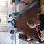 DSC01517.JPG