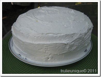 very vanilla cake