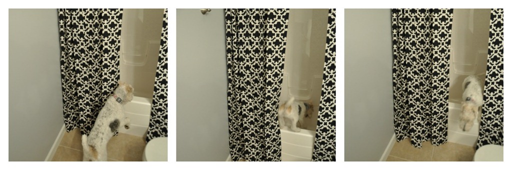 [Ike%2520and%2520the%2520Shower%2520Curtain%255B3%255D.jpg]