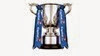 Capital one Cup