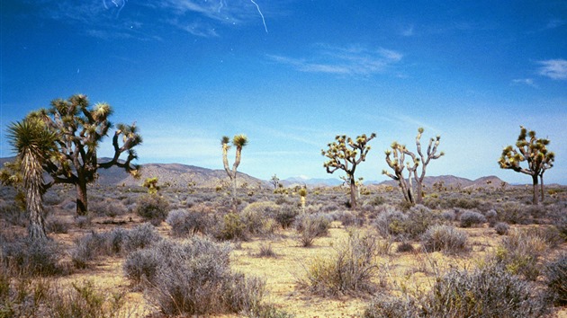 img017 img017