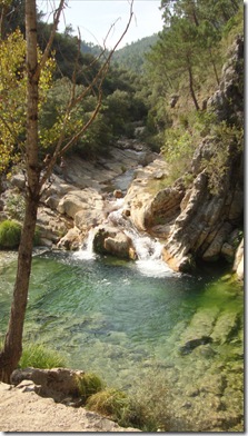 cazorla 029