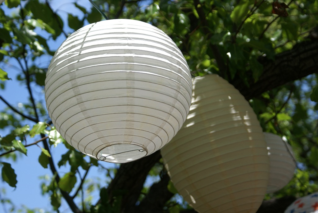 [220-Lantern.jpg]