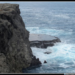 IMG_8867.JPG