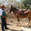 2EncontrodeMuladeiros-412.JPG