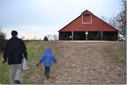 2012-11-27 Tree Hunting 001