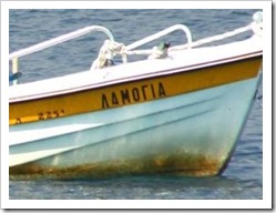 lamogia lamogia