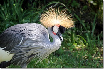 IMG_7123_watermark IMG_7123_watermark