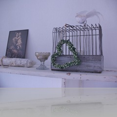 IMG_9302 IMG_9302