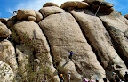 Rock climbing in Joshua Tree National Park (Photo by Rick Parker)</p>
<p>(Pic property of Harmony Motel)