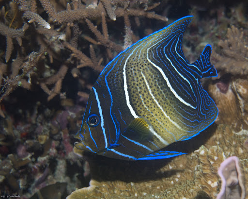 P7034549