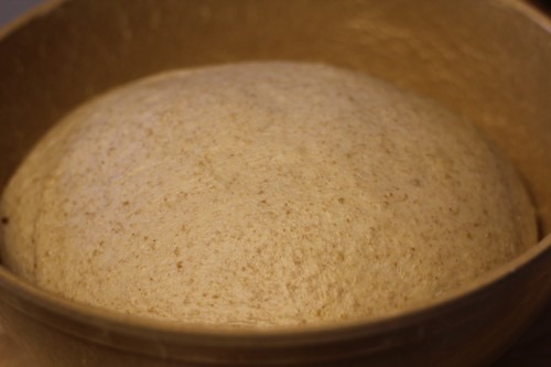 sourdough-coffee-cake008