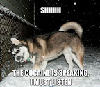 acid_picdump_104.jpg