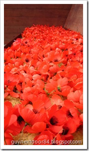 IMG_9728 IMG_9728