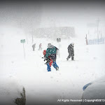 IMG_7938.JPG