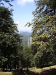 2006-07-17 ORLE-TUDANCA 036.JPG