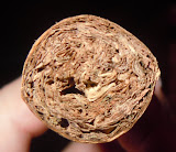 DSCN1220.JPG