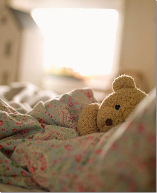adorable-awn-bear-bob-cute-Favim.com-305090_large adorable-awn-bear-bob-cute-Favim.com-305090_large