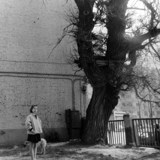 clip_image069 clip_image069