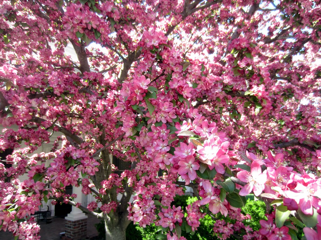 [IMG_0154%255B4%255D.jpg]
