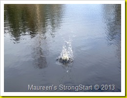 IMG_1076 IMG_1076
