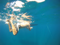 GoPro Teneriffa
