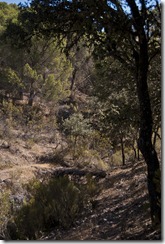 Rocas de la cueva104