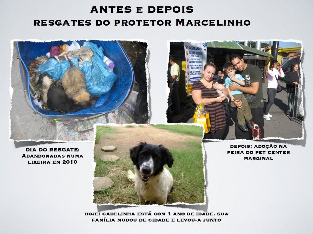 [marcelo_vieira%2520%252829%2529%255B3%255D.jpg]