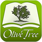Olive Tree 128x128