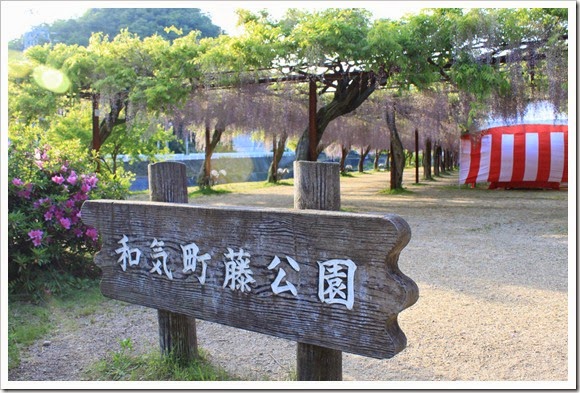 2014年環瀨戶內海自駕遊_Day6_118