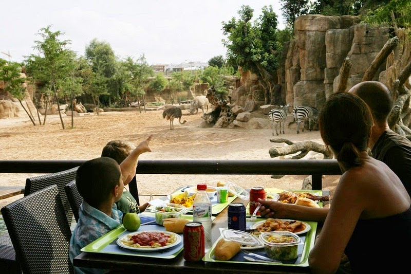 Bioparc Valencia