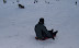 Playing in the Snow