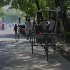 DSC_5488.jpg