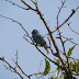 P1290681